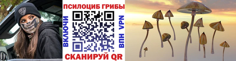 Галлюциногенные грибы GOLDEN TEACHER  Купить  Пущино 